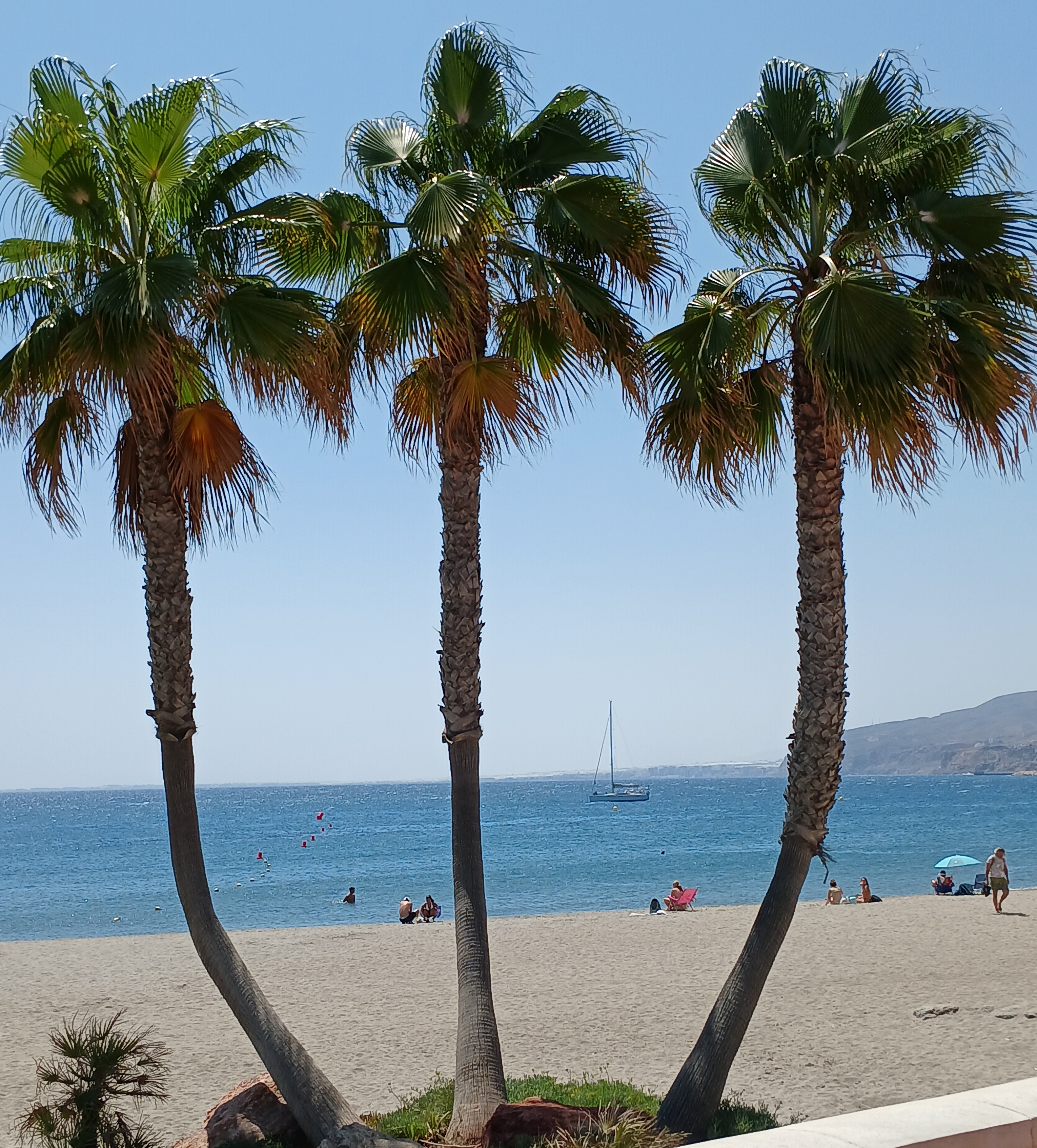 2025_07_Alicante-Portimao