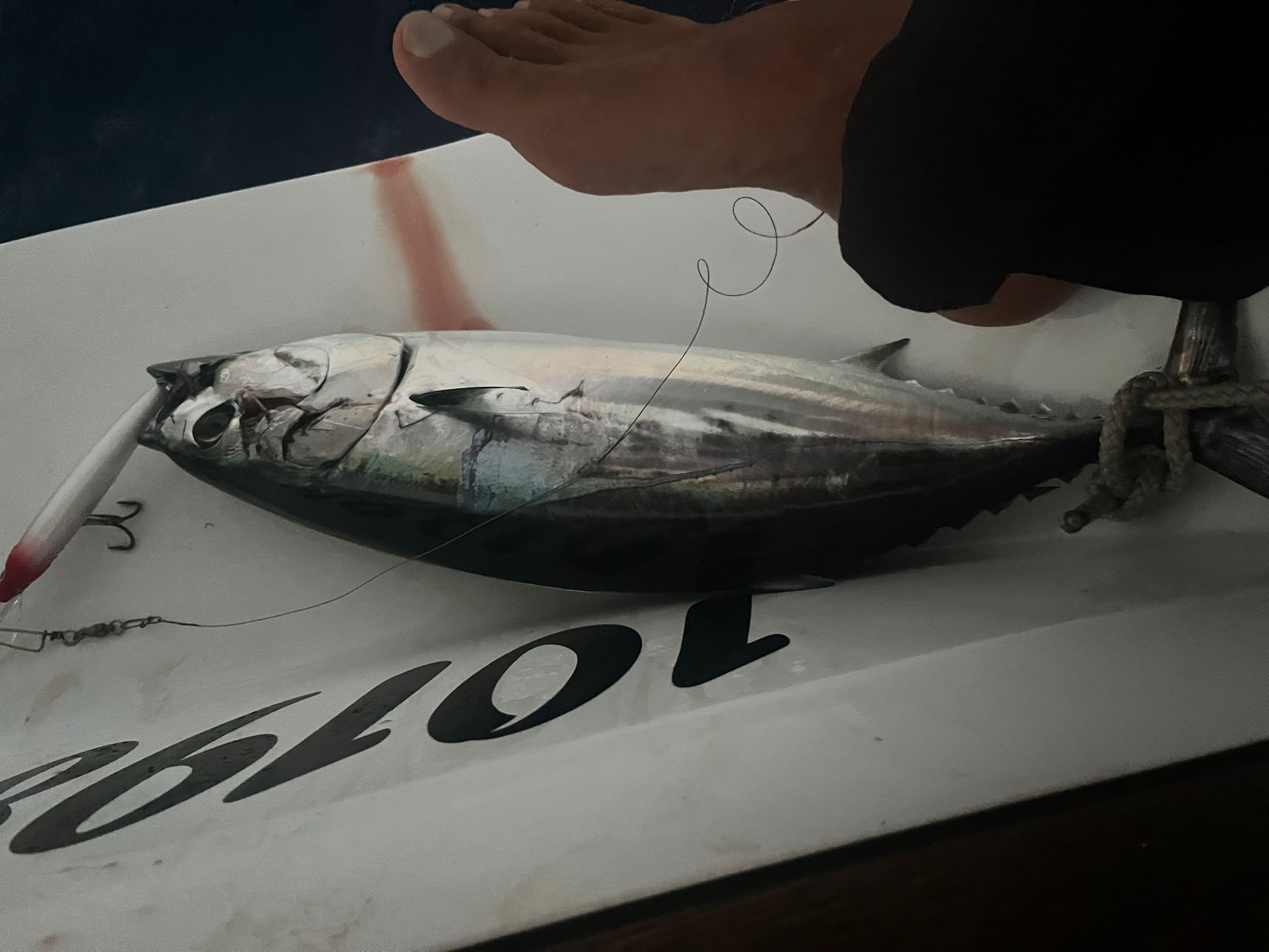 2025_Portimao-Lanzarote_Bild_0040